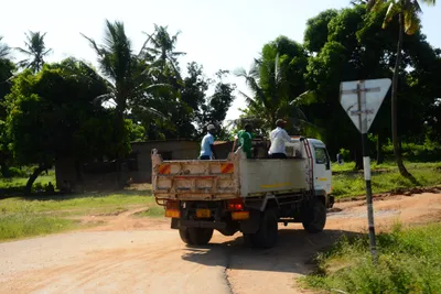 DSC_8284 (Large).JPG